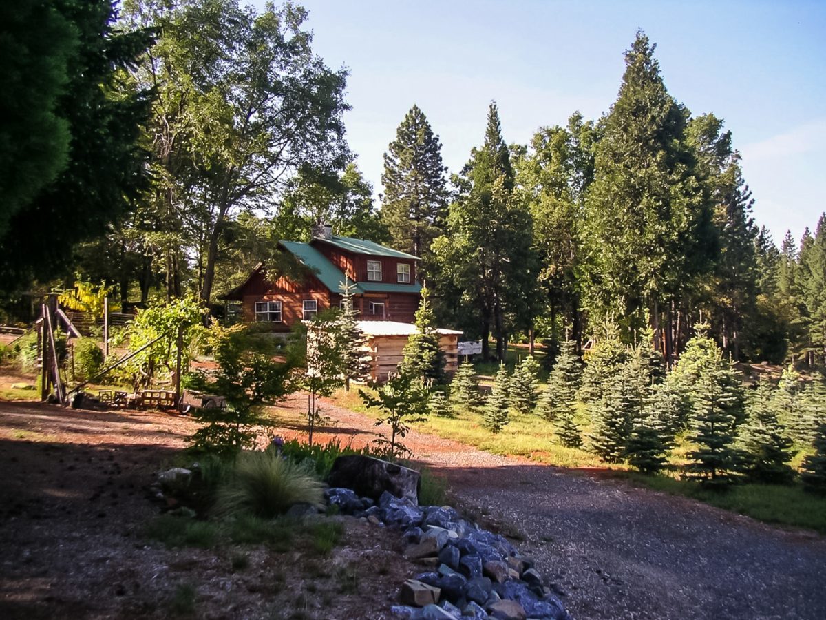 Guthrie Tree Farm, Foresthill, CA