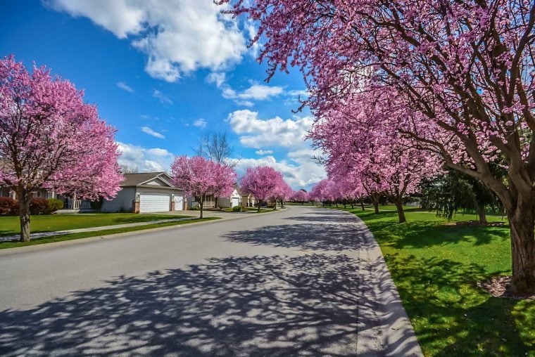 What kind of a home do you want to buy?