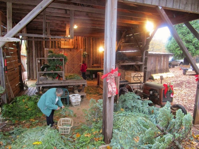 The greenery staging area