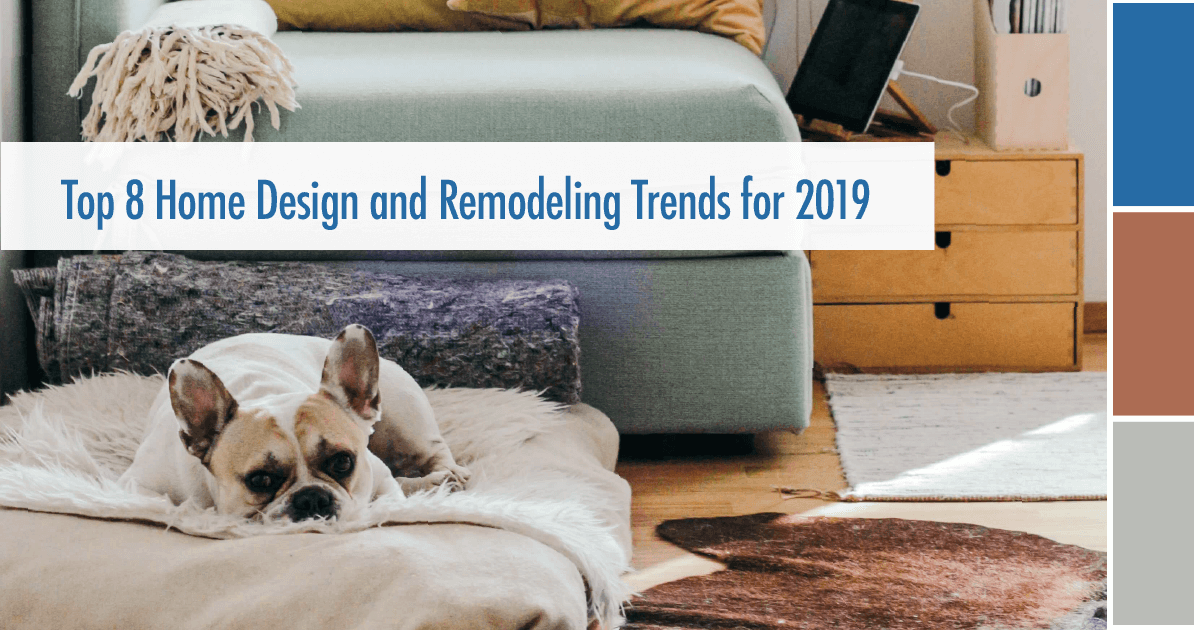 A dog in the redesigned bedroom of a home