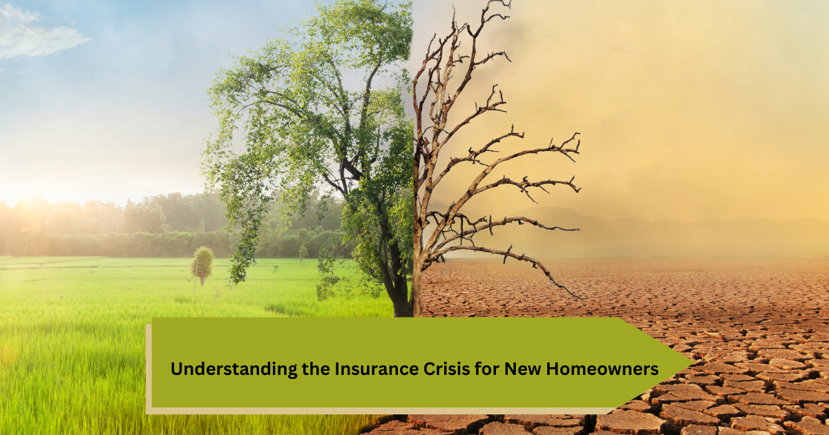 Understanding the Insurance Crisis for New Homeowners